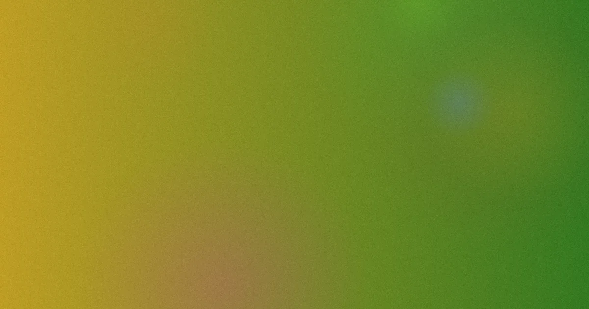 好运来避坑：公开播放背后的版权逻辑